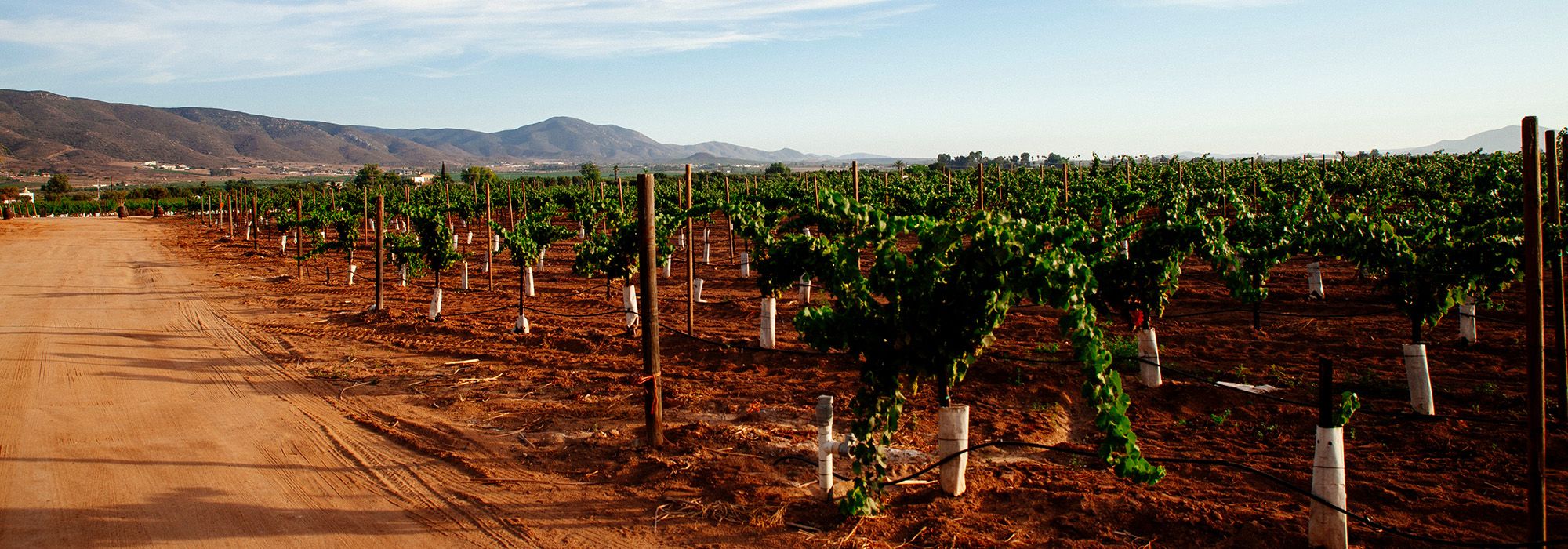 Valle de San Vicente: